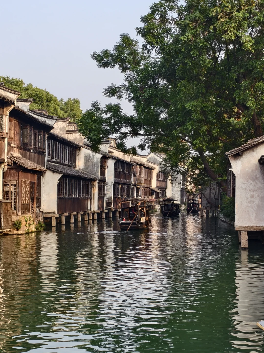 去乌镇‼️避坑指南（小众版）