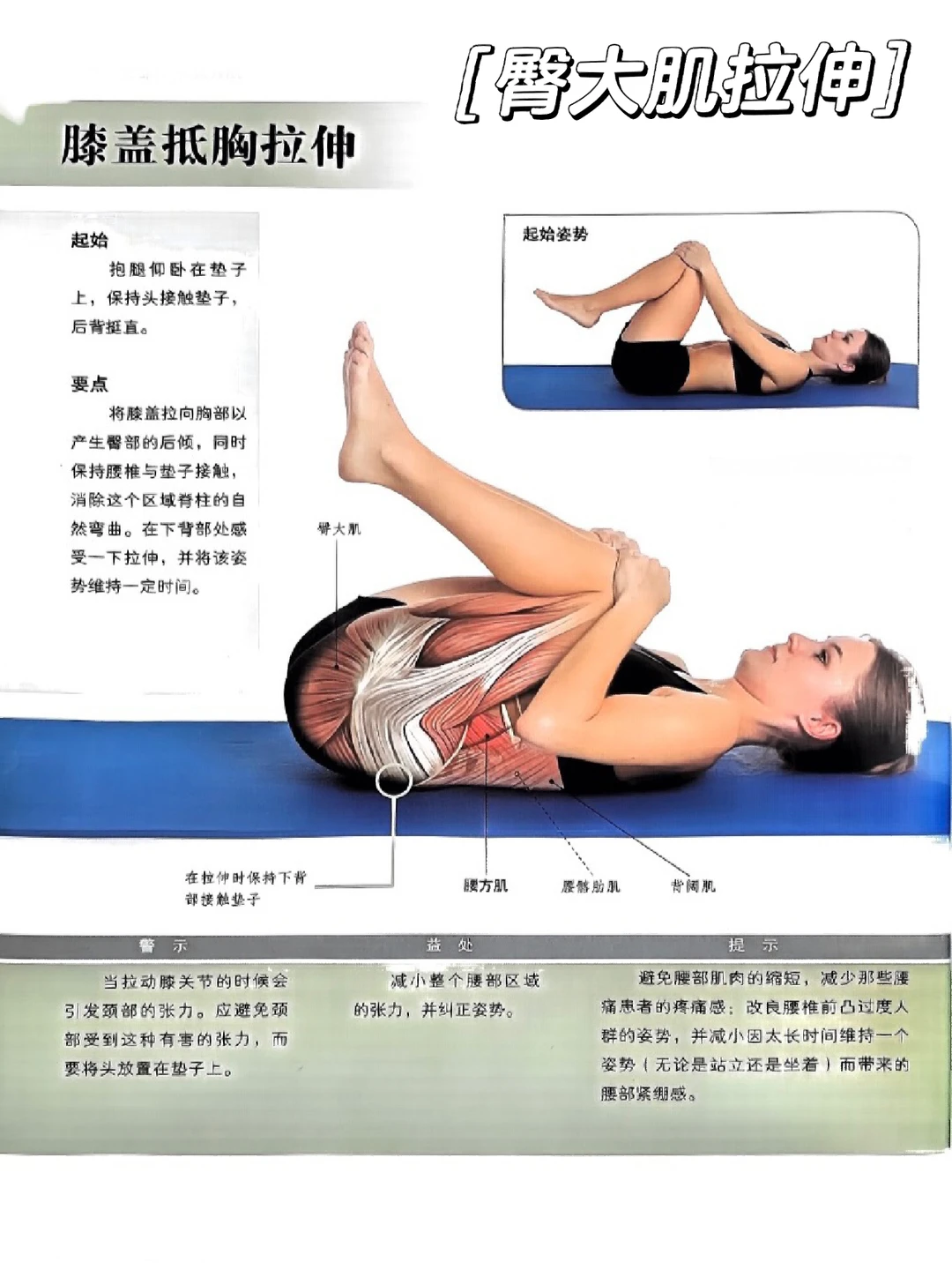 怎么拉伸臀大肌？改善坐骨神经痛🔥