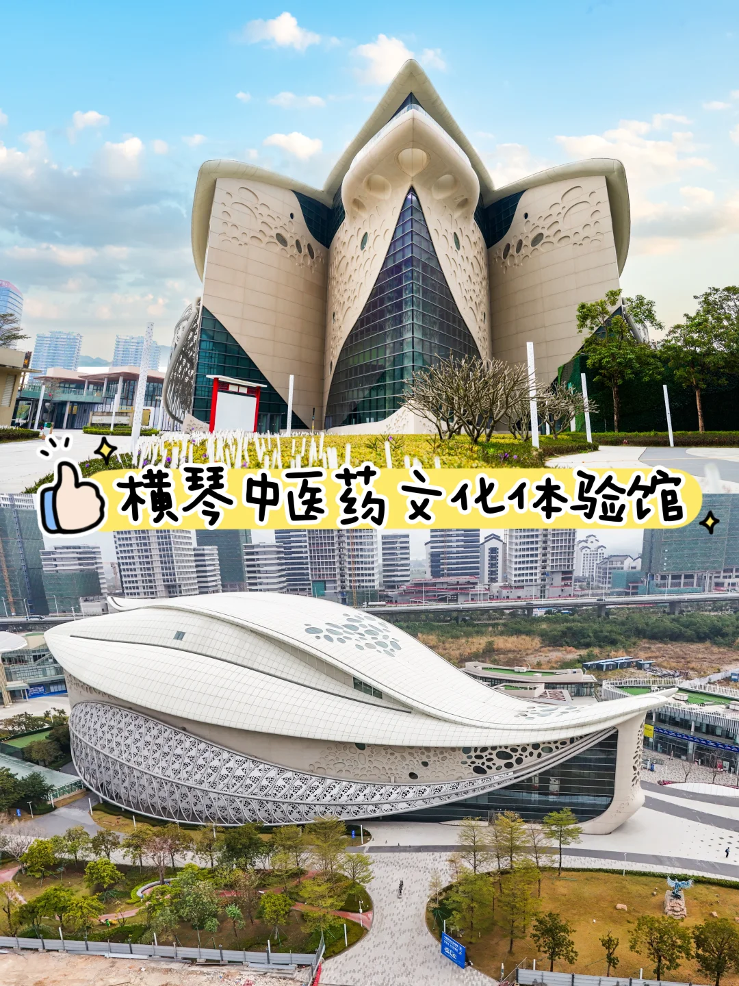 澳琴遛娃新地标✨中医药文化体验馆太好逛