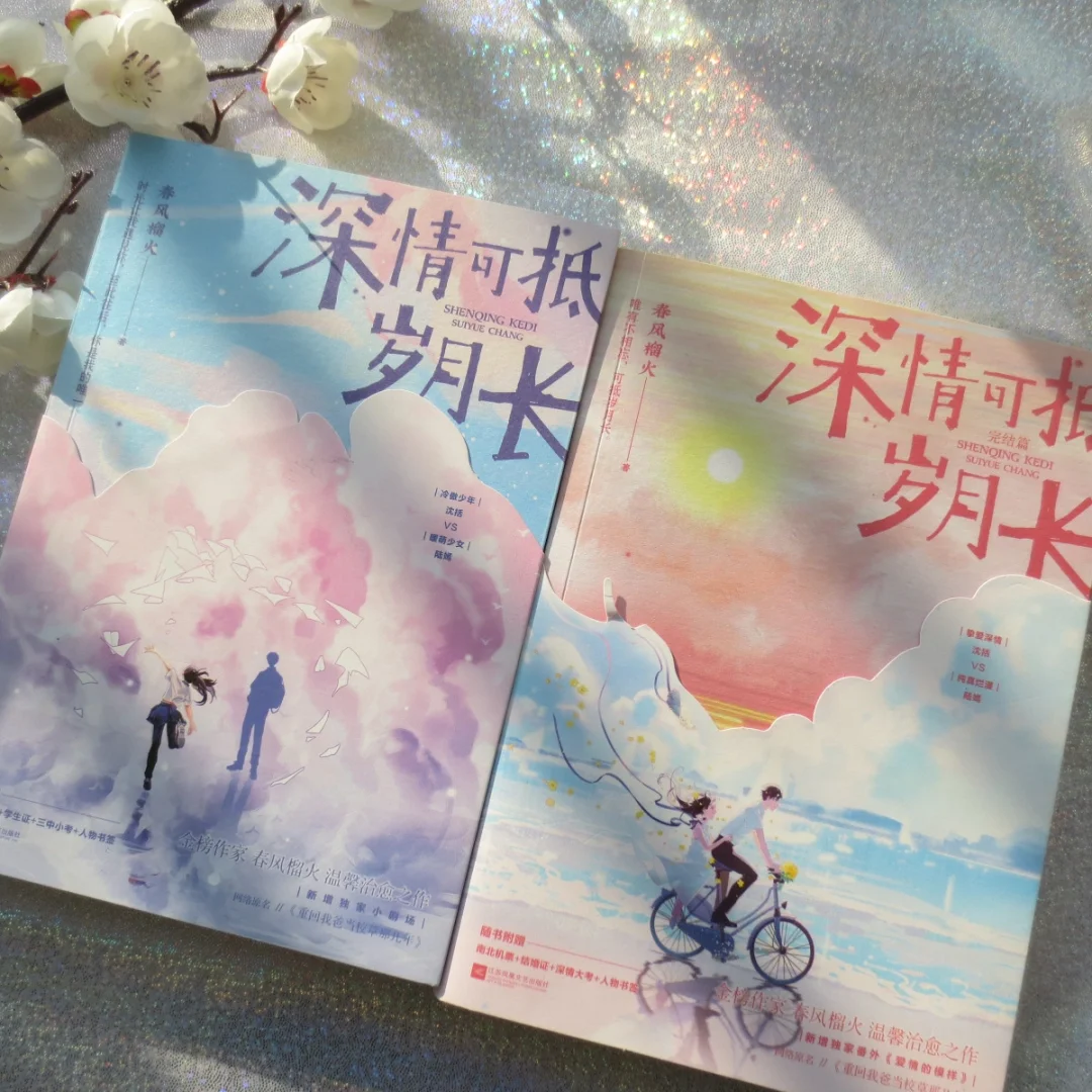 直男也会看哭|《深情可抵岁月长》