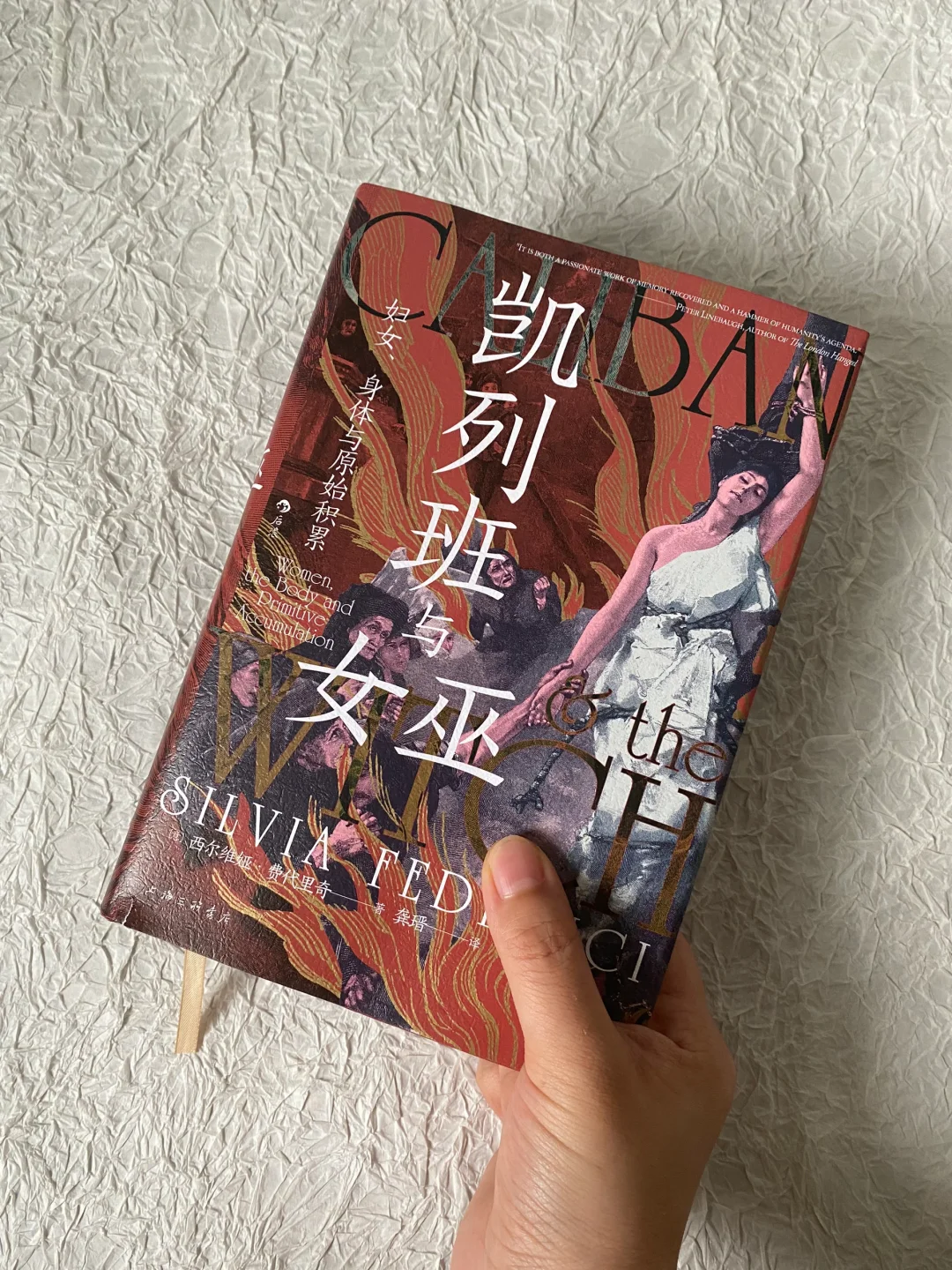 资本主义与女巫和猎巫的真相，md 写的真nb