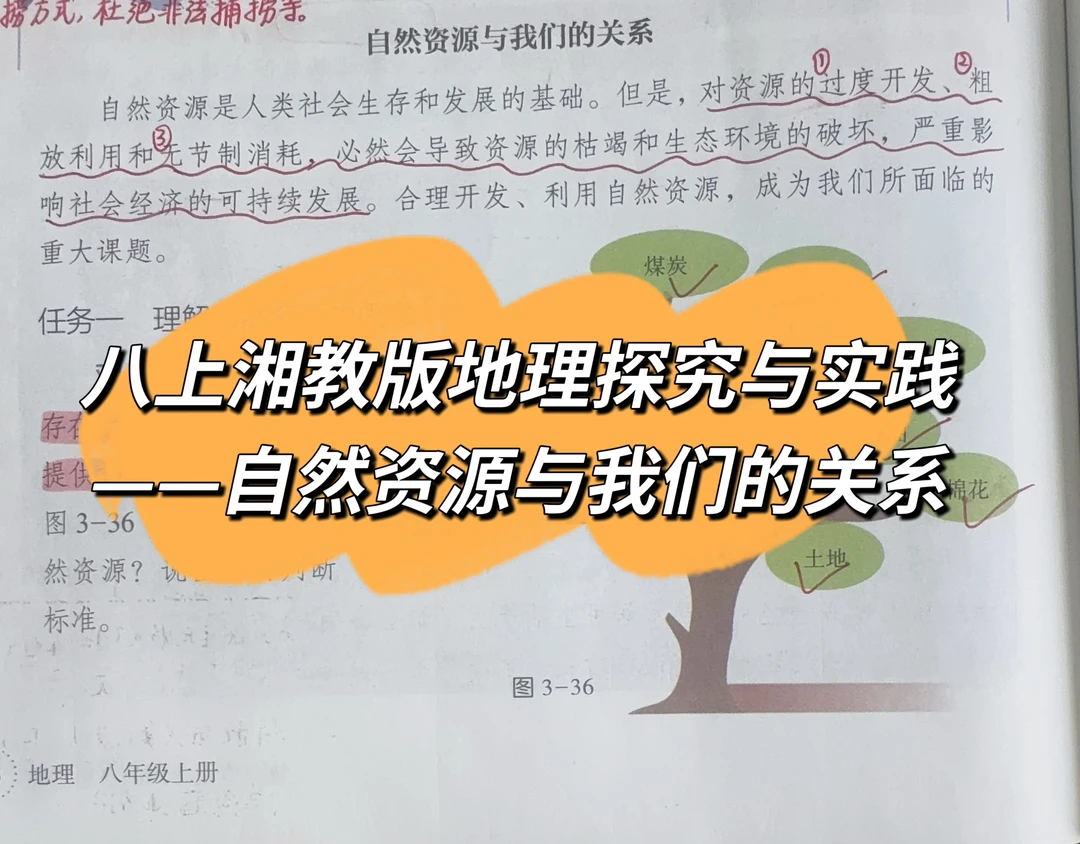 八上湘教版探究与实践：自然资源与我们关系