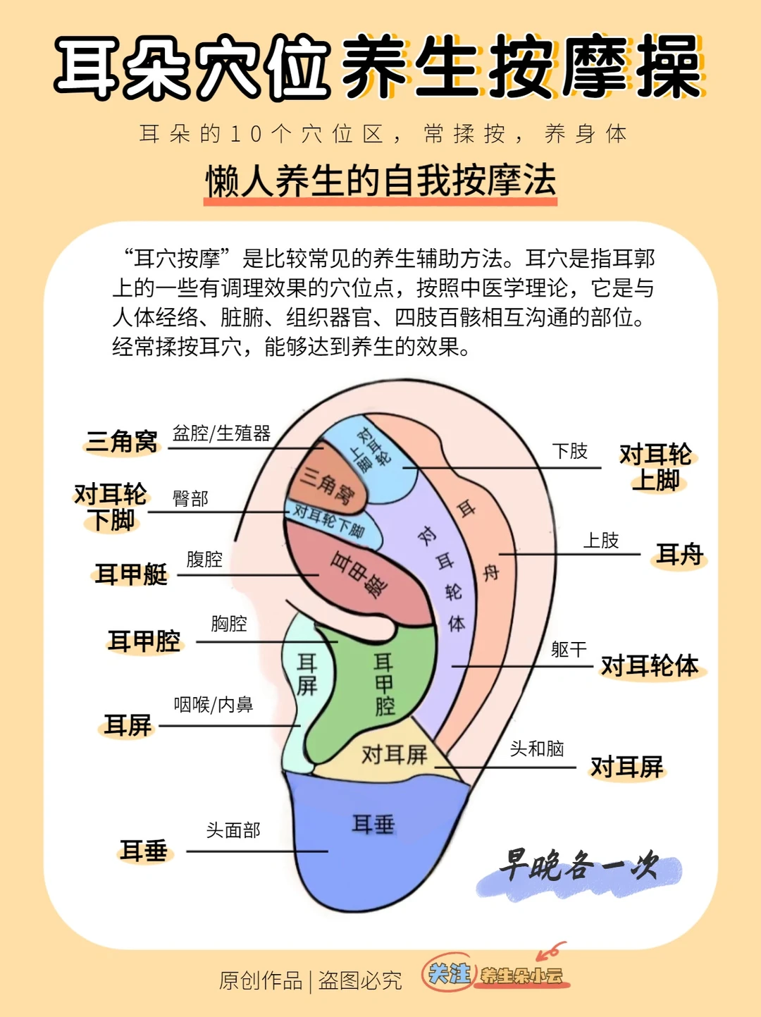 懒人养生✅耳朵10个穴区，每日揉按身体棒👍