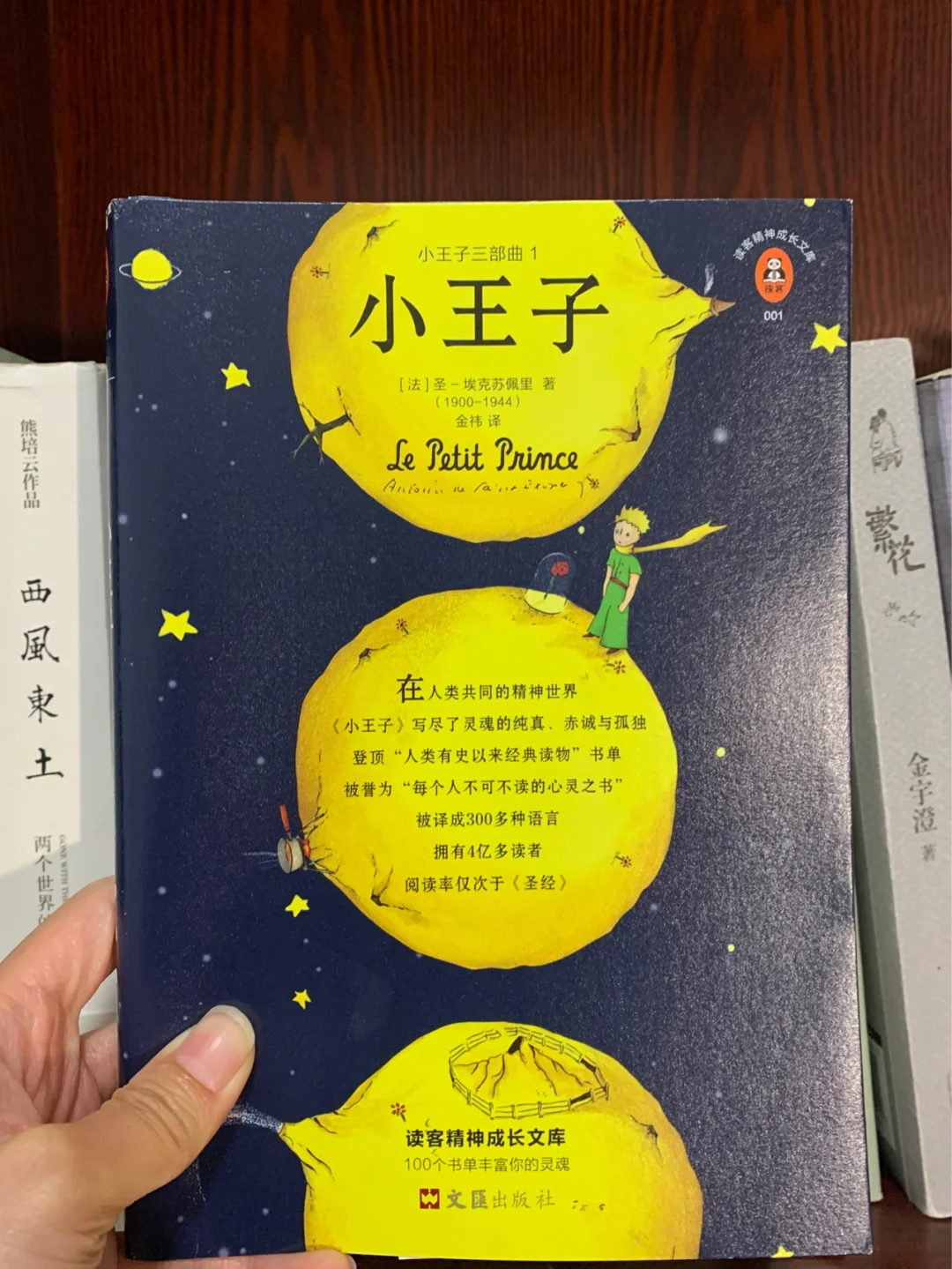 【好书推荐】一本帮助你学会如何去爱的书