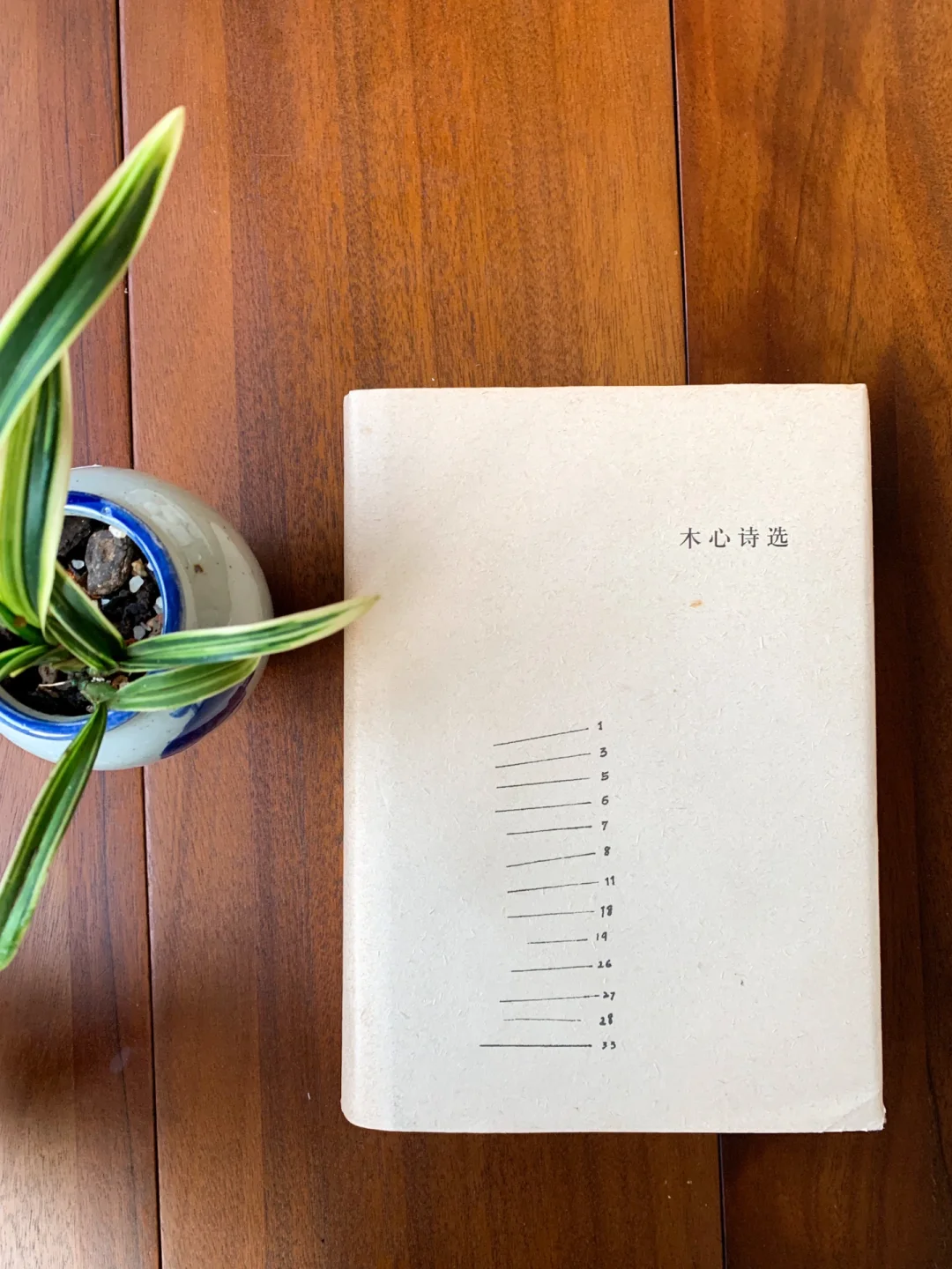 乌镇除了戏剧节，还有他👨🏻