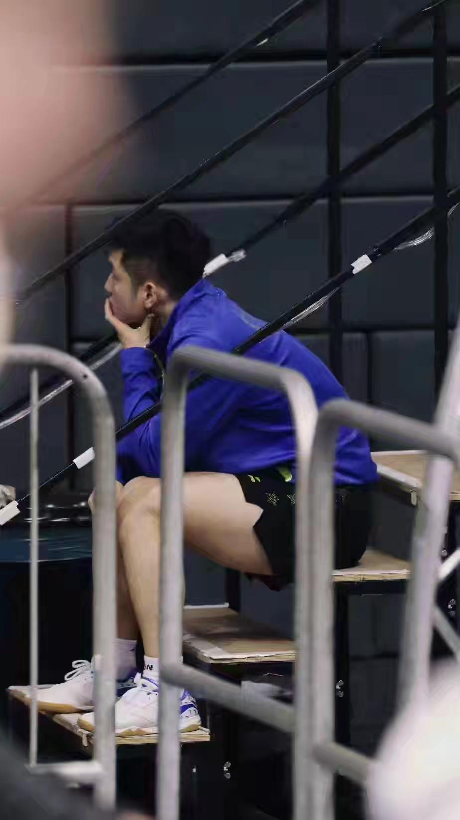 樊振东 樊振东小胖