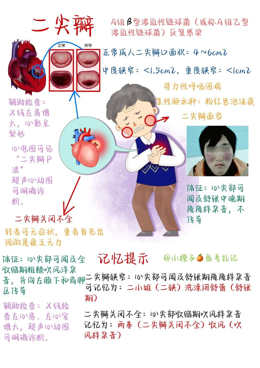 📖护师笔记｜内科护理学｜心脏瓣膜病1⃣️