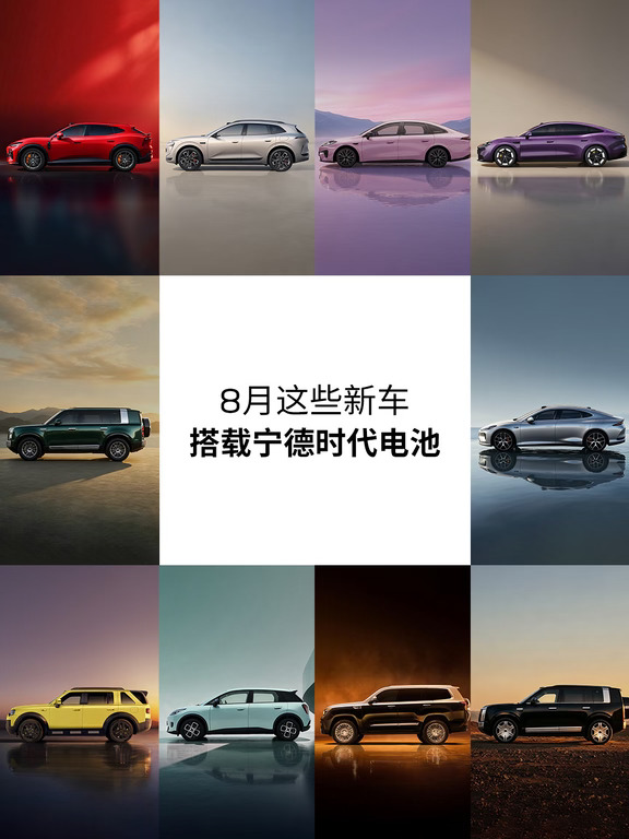 8月，11款新车，电池，1家
