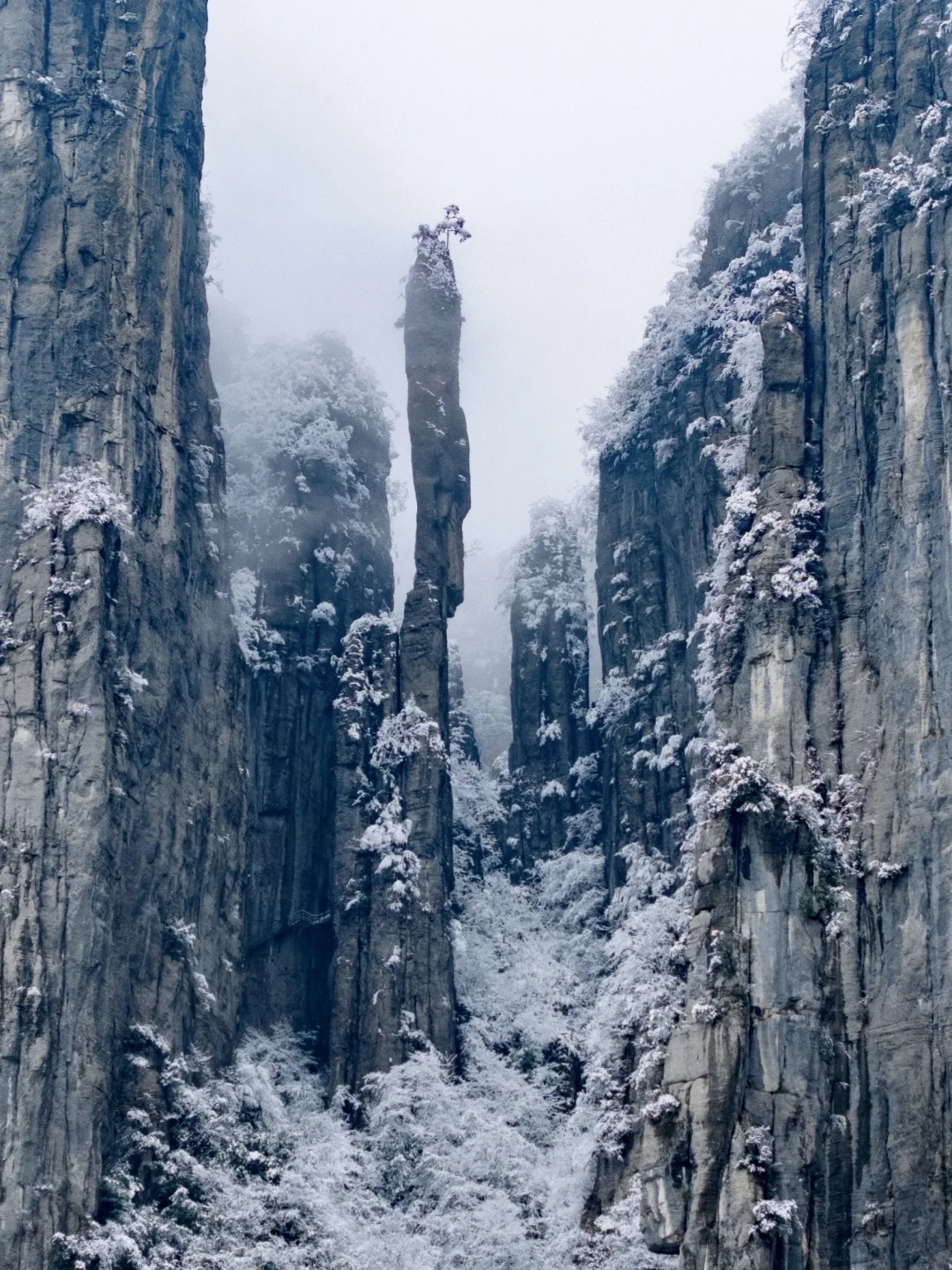 问了💯个恩施人都推荐的新年祈福登高胜地