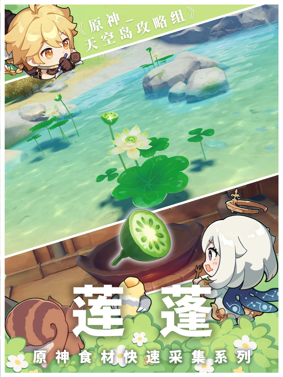 【原神】超详细的莲蓬采集攻略来啦！