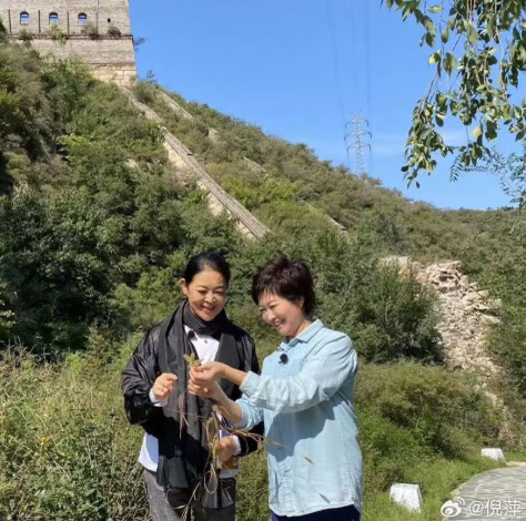 倪萍因为不能参加敬一丹的告别式，连夜写下了千字长文，没有华丽的辞藻，没有刻意的煽情，却让人不知不觉泪流满面......
	
敬一丹对倪萍而言，是她从地方台进入央视时，第一个主动对她笑脸相迎之人；
	
是和倪萍一起，共同拿下首届“金话筒”奖之人；
	
是告诉倪萍，“新闻主持人不要淹没报道人物本身的光芒，只为托举故事背后的公共价值”之人；
	
是表扬倪萍，“这么多年的春节晚会，倪萍一出场，就会觉得，这就是咱们中国人过年最想看见的样子”之人；
	
是倪萍想送她一幅向日葵画作，画完了又撕毁，感觉配不上对方，最终还是没有送出去之人；
	
是倪萍每年过节，特意拜托远在山东的舅妈，蒸一锅老面馒头，当做新年礼物之人；
	
是告诉倪萍，“如果你想去北极或南极，我都陪着你”之人；
	
是拉着倪萍给徐俐的新媒体节目站台，然后赶回医院照顾患病的丈夫之人；
	
是与倪萍聚会完，写下“人有悲欢离合”，未曾想那是最后一面之人......
	
倪萍与敬一丹相知相交40多年，敬一丹是她的前辈、是榜样、是大姐、是闺蜜...