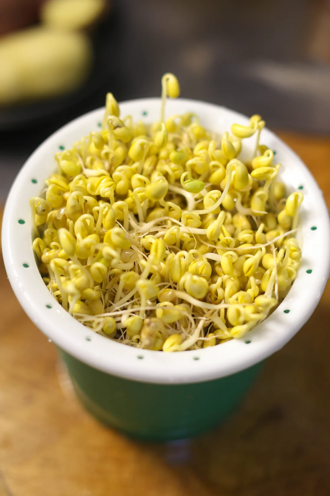 妈妈做了几十年的自制生豆芽方法，方便实用