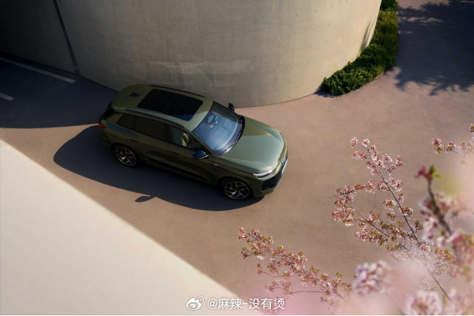 全球首台碰撞测试车，居然是一汽奥迪Q6L e-tron的“祖师爷”？

冷知识时间！汽车历史上第一次碰撞测试，是1938年工程师把一辆DKW F7从山坡上推下去做的，而这家"汽车联盟"，就是奥迪的前身🚗
算起来，奥迪有87年的安全经验积累了：1970年建了第一个碰撞实验室，1972年率先用上碰撞测试假人，1986年 ​