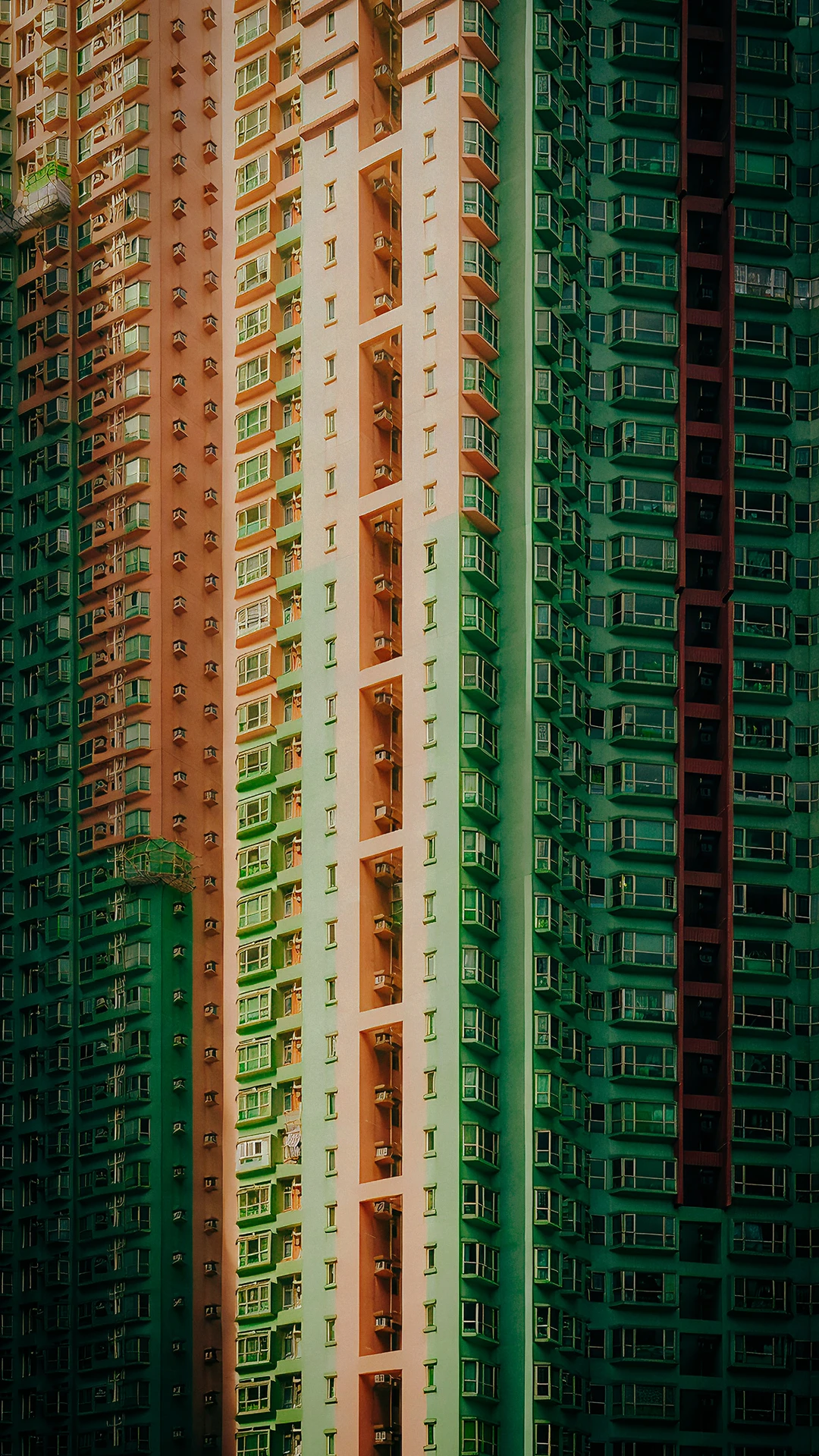 狮子山精神永在！愿香港新生，更胜往昔！