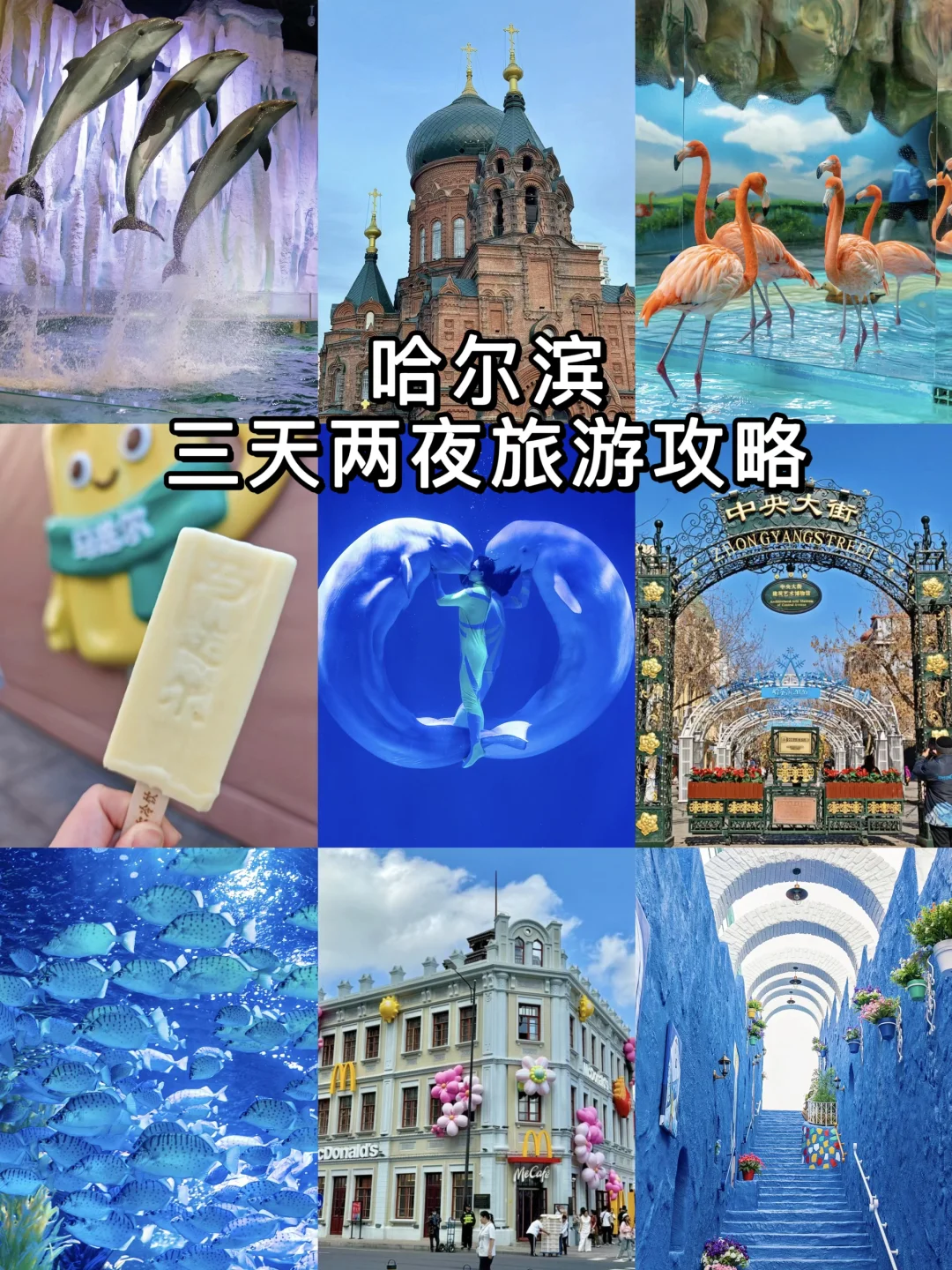 五一哈尔滨旅游攻略！三天两夜行程快码住❗️