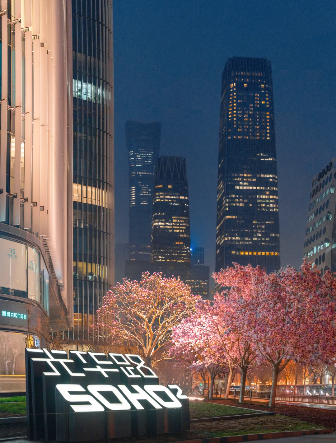 凌晨5点，没人的光华路国贸玉兰可太权威了