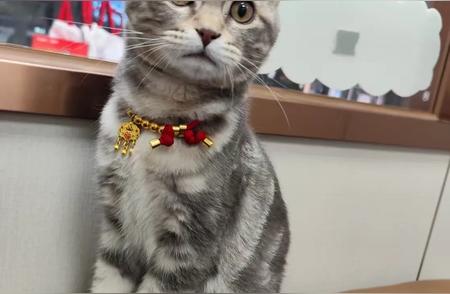 女生就是要打扮的呀！！