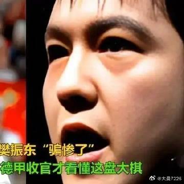《没想到！我们都被樊振东“骗惨了”，德甲收官才看懂这盘大棋》播放量：4...