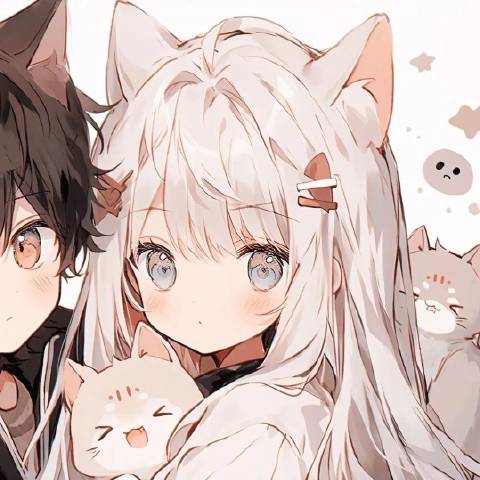 猫猫也会玩游戏