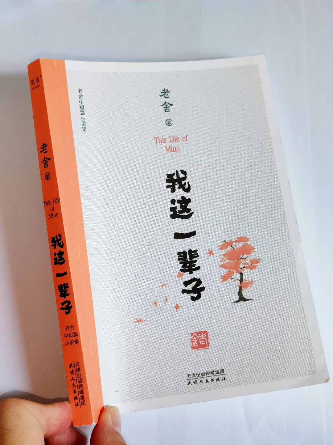 这本书后劲太大了，心都被揉碎了😭