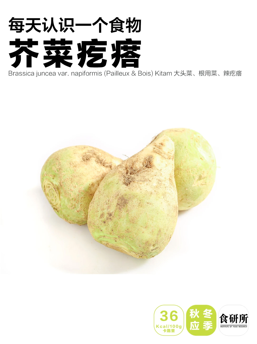 芥菜疙瘩好吃吗？