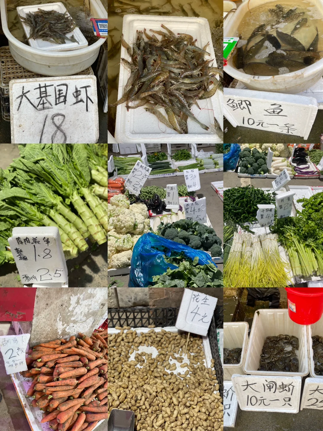 带你们看看我常去的菜市场每次都刹不住车