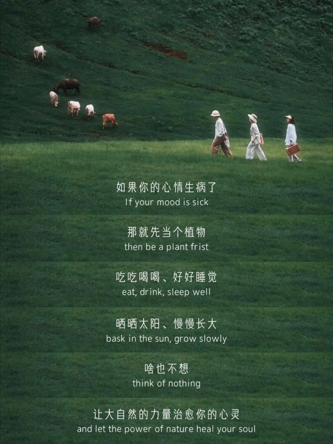情绪生病了，就去找回自己。 ​​​