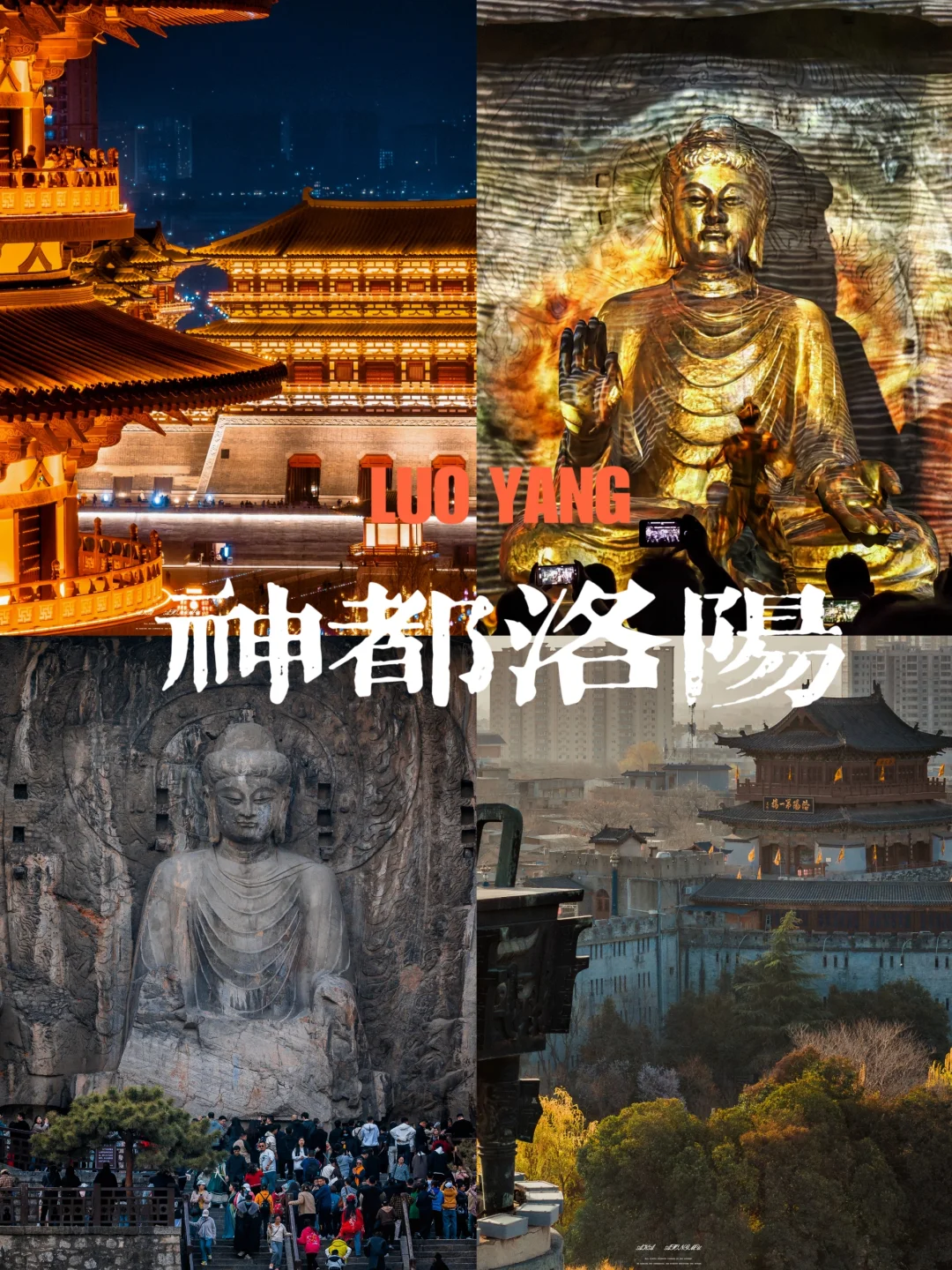 两日特种兵游洛阳，巡迹千年神都