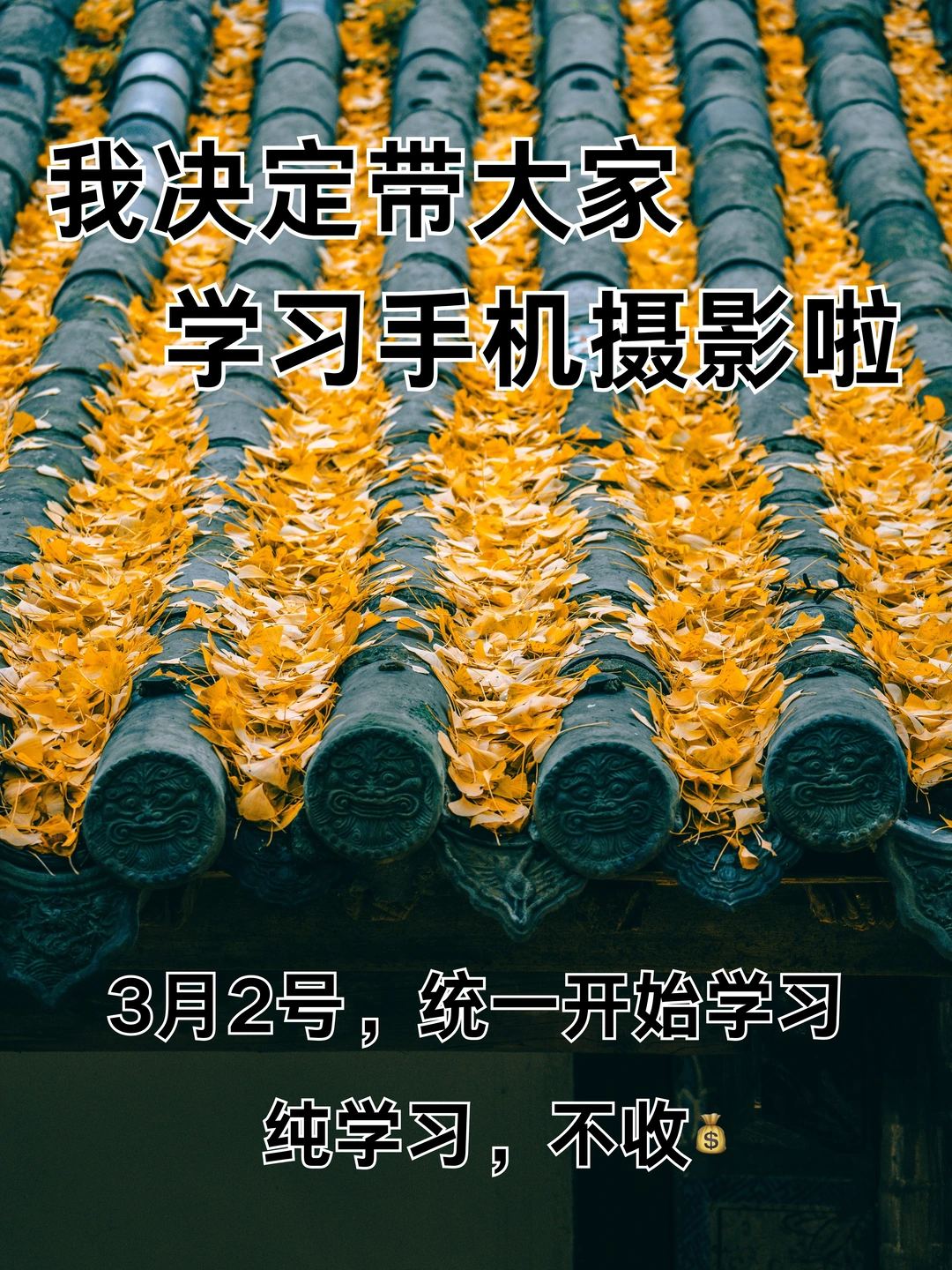 我决定带大家学习手机摄影啦！！