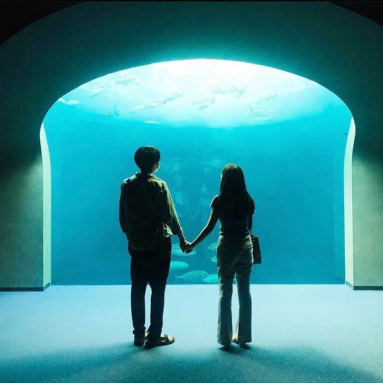 日本香川县|夏天来水族馆降降温啊