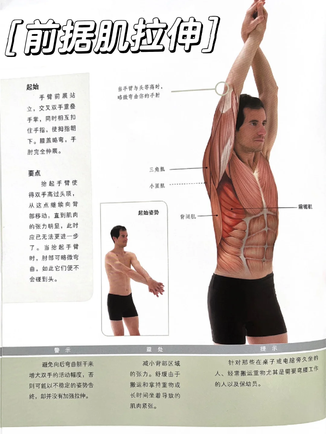 超简单的拉伸（前锯肌）躺着都能拉伸！