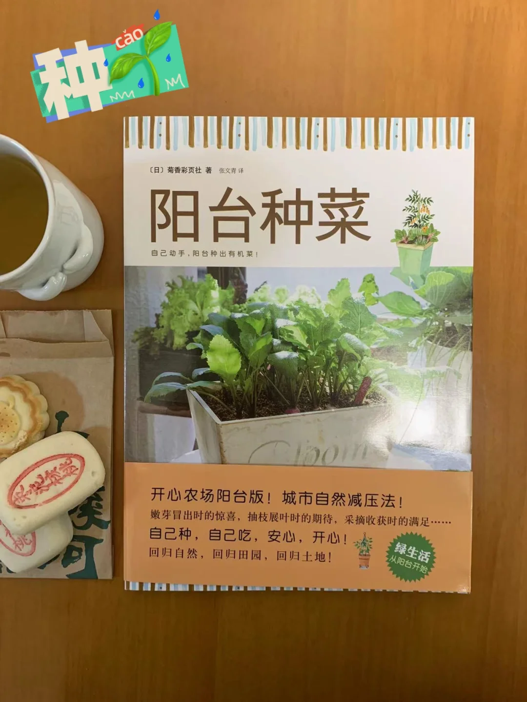 《阳台种菜》｜疫情年蕞强种菜指南