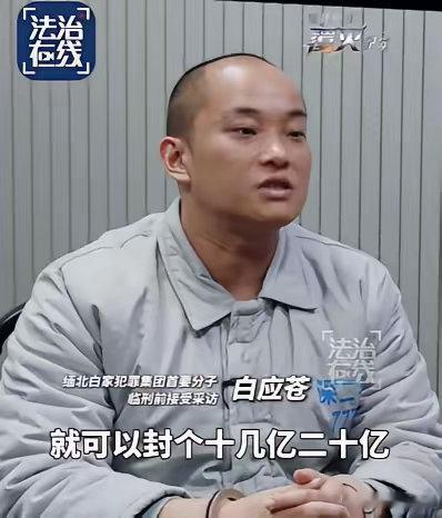 “随便一个资金盘就20亿” 缅北电诈金融化内幕曝光：死刑犯临刑前谈几十亿像谈零花钱，那人命在他们面前还算什么？
​2026年10月，央视纪录片《缅北电诈覆灭纪实》播出了白应苍临刑前的画面。这个缅北白家犯罪集团首要分子已于2026年2月2日被执行死刑，他在镜头前随口说，随便一个资金盘就可以封个十几 ​