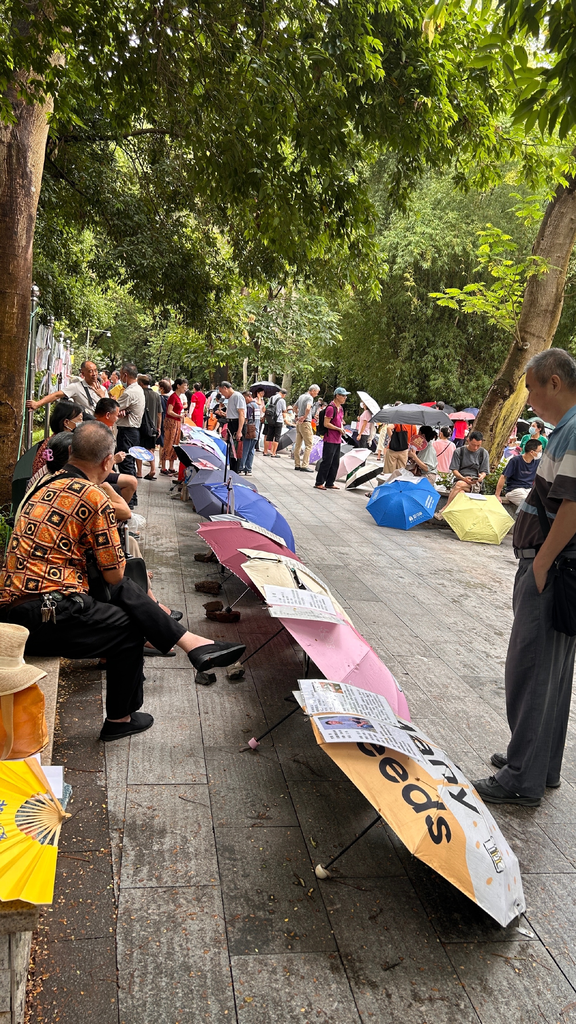 今天去广州天河公园附近，找闺蜜吃饭。饭后逛下天河公园相亲角，现场基本都...