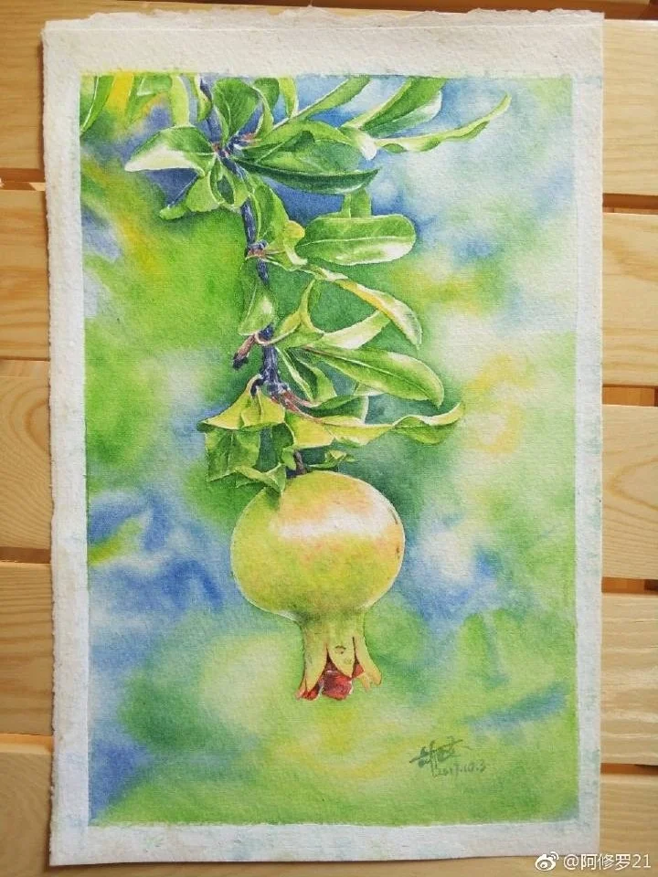 水彩石榴。树上的石榴真好看。