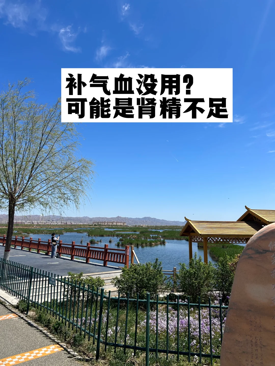 补气血没用，可能是肾精不足！