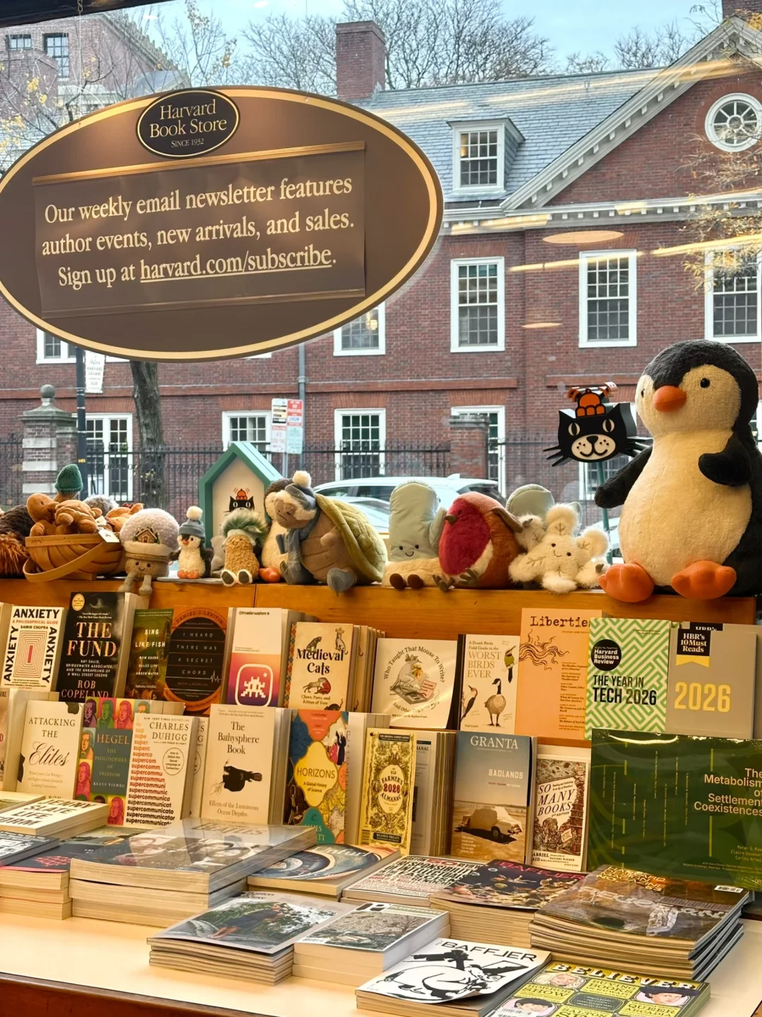 波士顿｜哈佛书店竟然也有Jellycat📚（附list