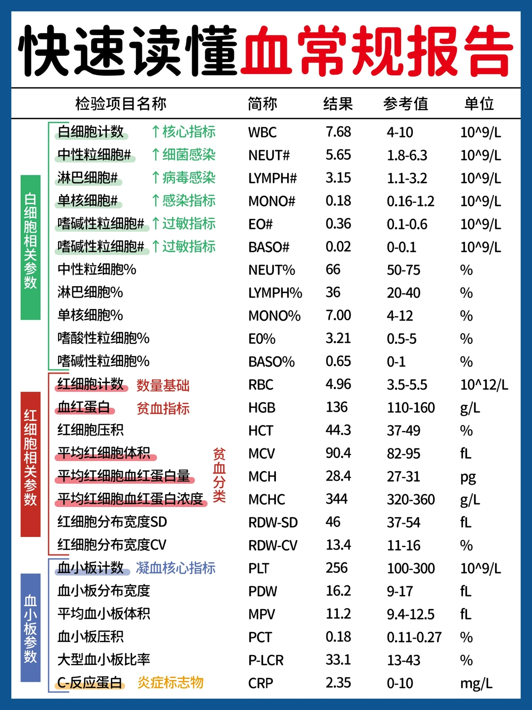 血常规一张纸，看懂少跑很多弯路