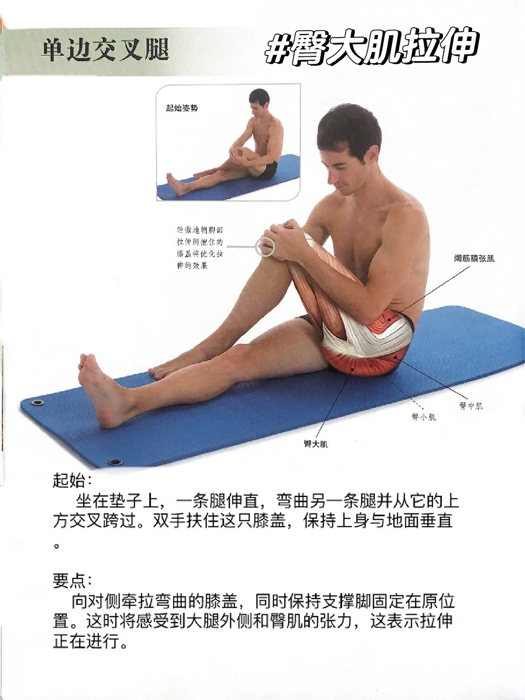 不止翘臀，臀大肌拉伸更重要！🍑