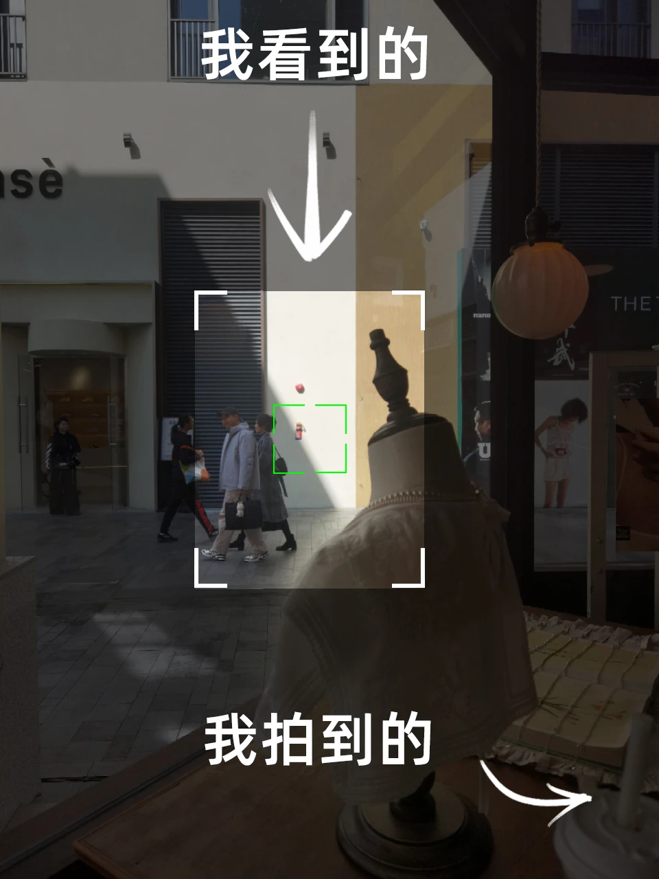 我看到的VS我拍到的|培养摄影眼02