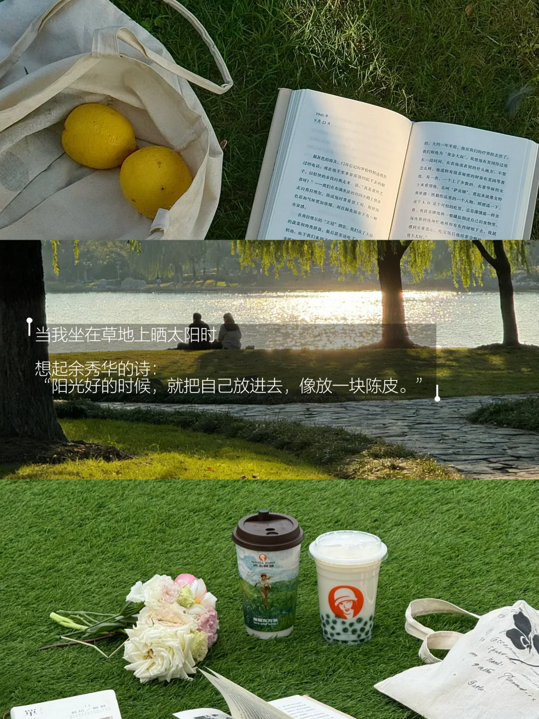 阳光好的时候 会感觉还可以活很久。