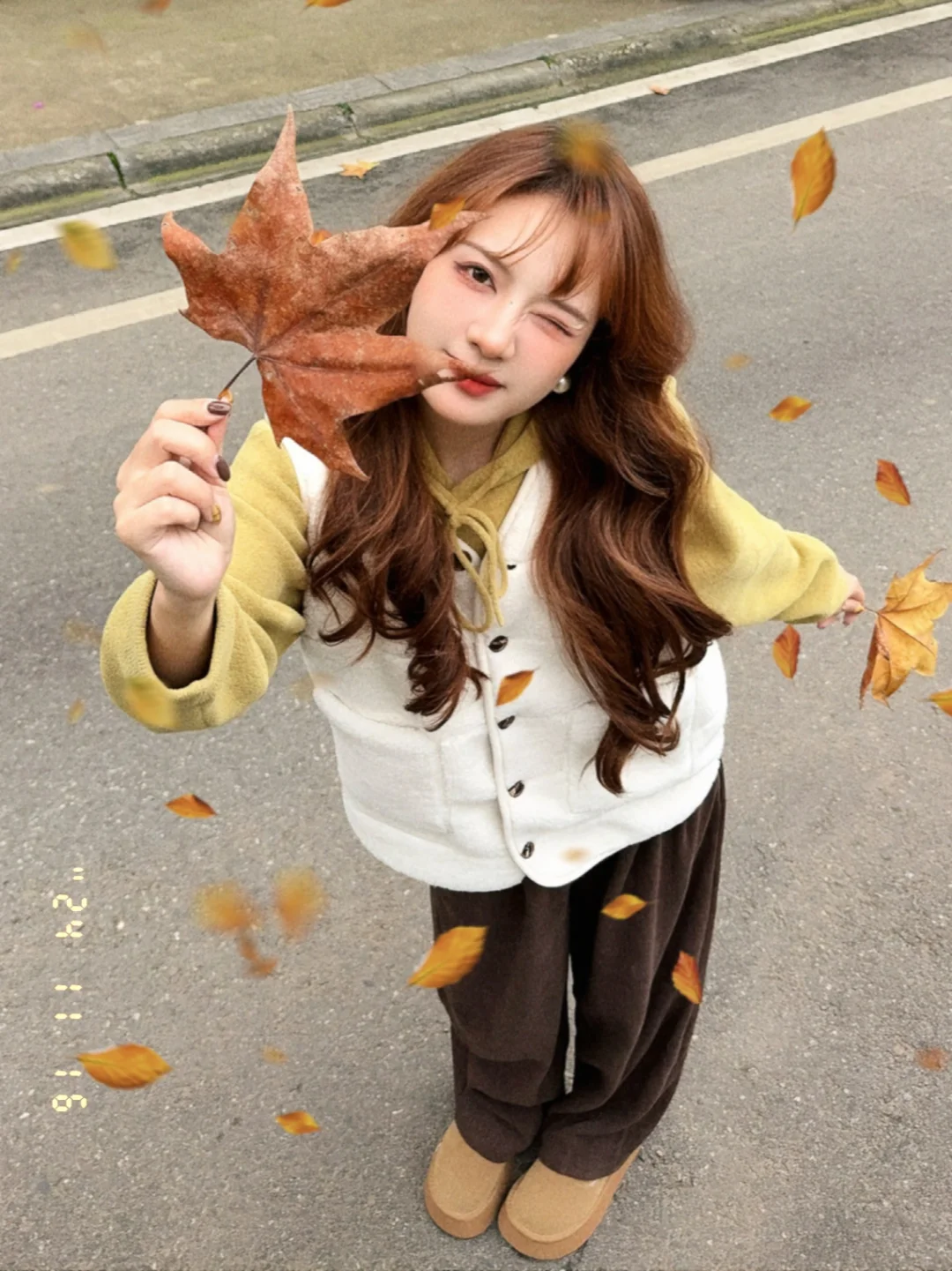 落叶是秋日的繁星🍁（附落叶p图➕滤镜教程）