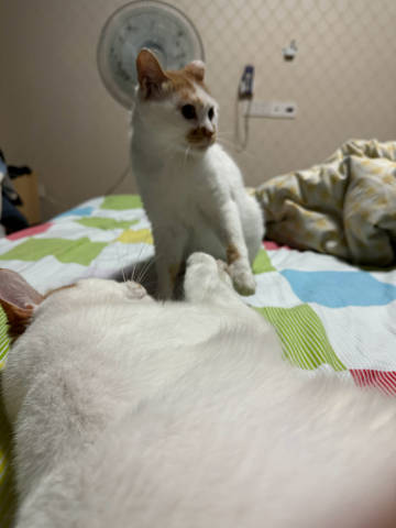 打照片发现之前拍的一个好搞笑的瞬间<br />哈哈哈