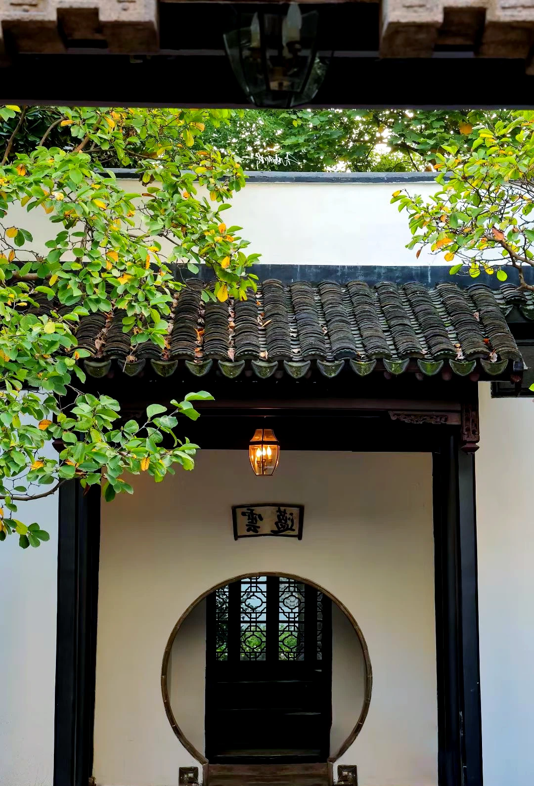 云薖园：宦海归客的民国藏书小园
