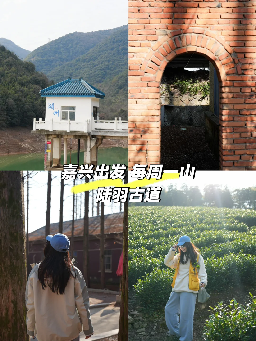 湖州陆羽古道7km环线｜新手友好的茶香徒步🍵