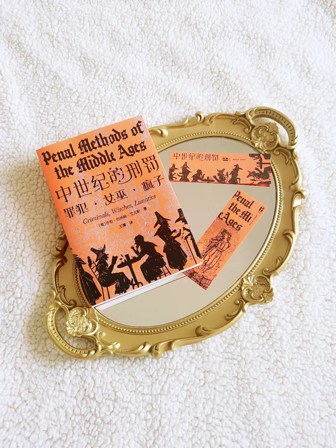 这书简直就是中世纪酷刑图鉴！😱