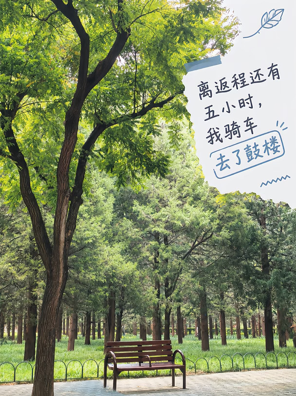 离返程还有五小时，我骑车去了鼓楼