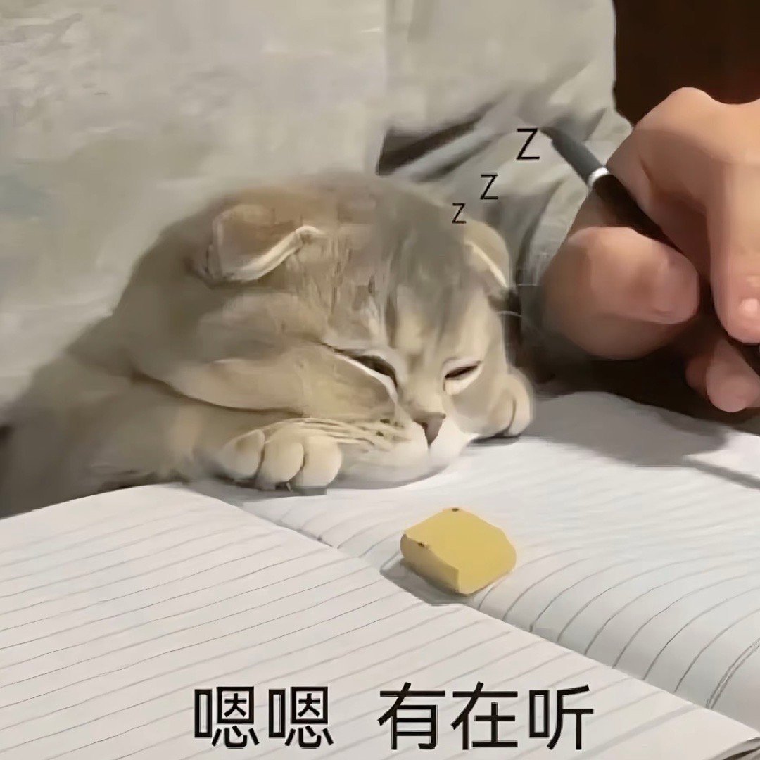 表情包来啦