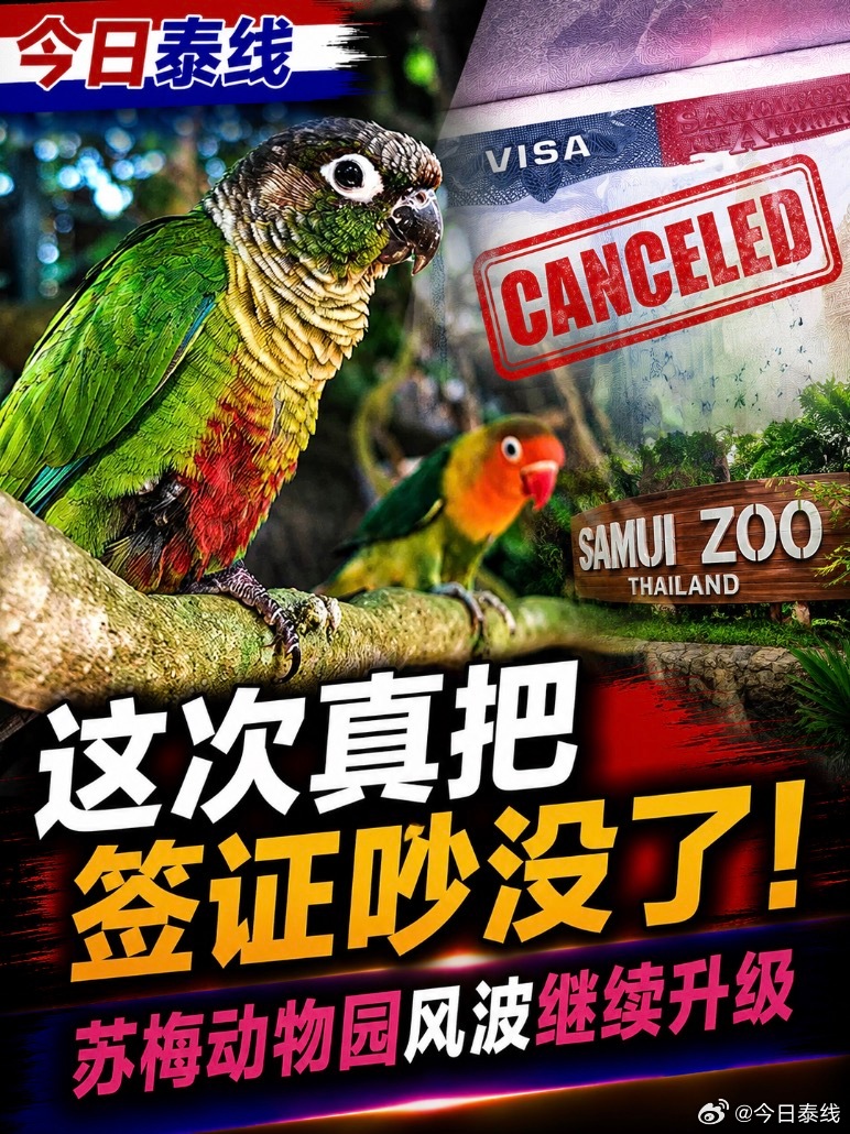 前几天苏梅岛动物园那场风波，现在有后续了。

有人把嘴上的冲突，成功升级成了签证问题。

8月25日，泰国旅游与体育部长素拉萨透露，针对近期在苏梅岛威胁私人动物园经营者生命安全的外国人，泰国方面已经采取强硬措施，相关人员签证已被取消。

部长没有公开被取消签证者的姓名、人数和国籍，所以这 ​