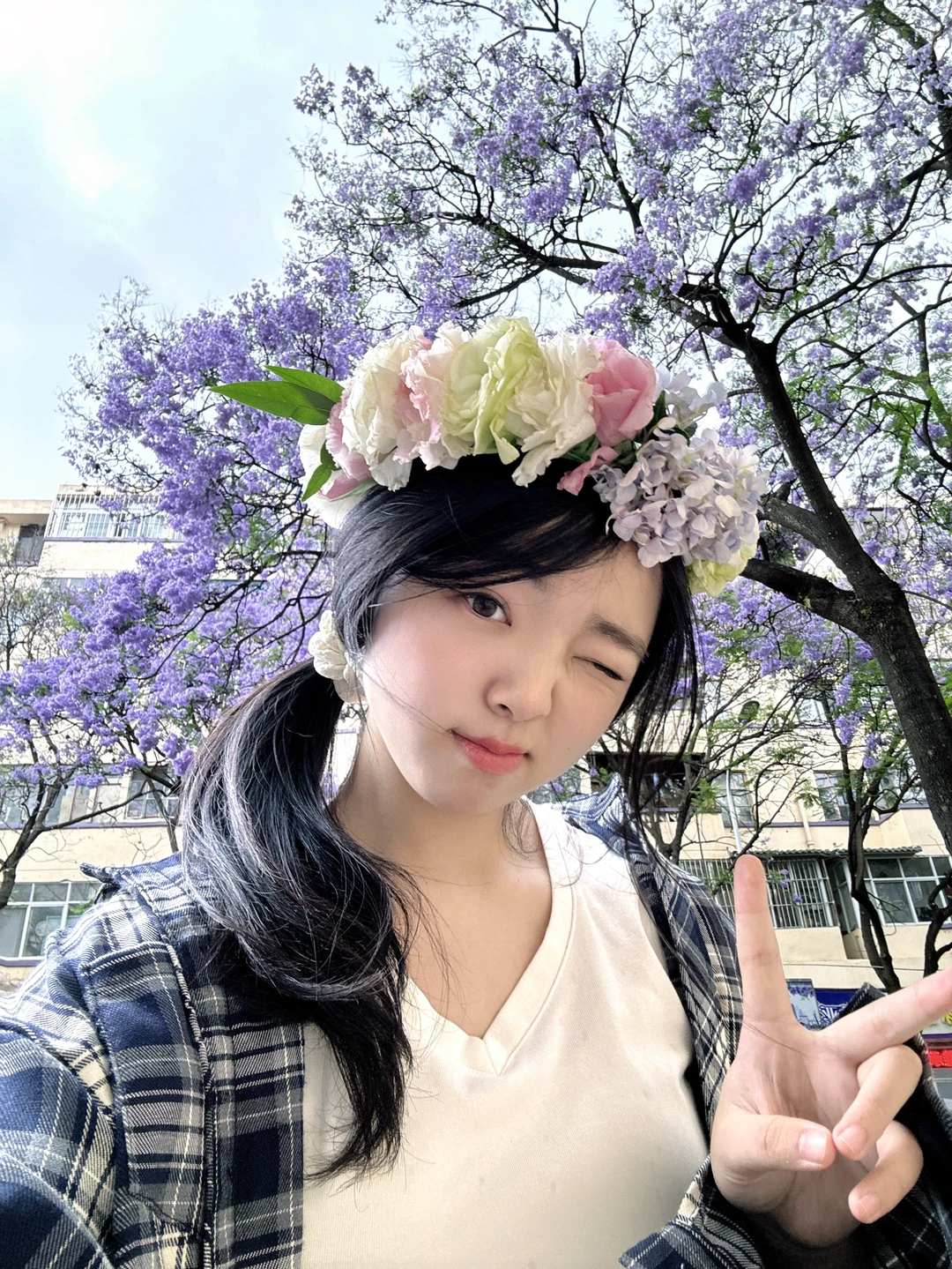 赶上昆明的蓝花楹咯！好好好好好看